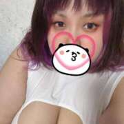 ヒメ日記 2025/11/14 08:16 投稿 さちこ 長野権堂更埴ちゃんこ