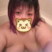 ヒメ日記 2025/11/17 00:54 投稿 さちこ 長野権堂更埴ちゃんこ