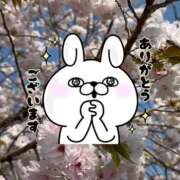 ヒメ日記 2025/12/18 23:26 投稿 さちこ 長野権堂更埴ちゃんこ