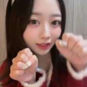 あるの（プレミア級圧巻美少女！ 飼い主さん募集🐈🐾 ハニービー（Honey Bee）