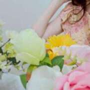 ヒメ日記 2025/11/14 15:28 投稿 高見 恭子 熟女・人妻マダム宮殿