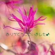 ヒメ日記 2025/11/22 12:32 投稿 高見 恭子 熟女・人妻マダム宮殿