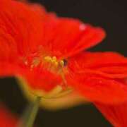 ヒメ日記 2025/11/26 14:08 投稿 高見 恭子 熟女・人妻マダム宮殿