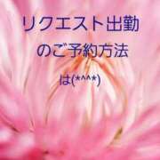 ヒメ日記 2025/12/15 10:49 投稿 高見 恭子 熟女・人妻マダム宮殿