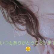 ヒメ日記 2026/05/29 12:53 投稿 高見 恭子 熟女・人妻マダム宮殿