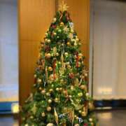 ヒメ日記 2025/12/19 12:25 投稿 坂戸さきか MIRAI TOKYO 新宿店