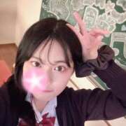 ヒメ日記 2025/11/23 14:47 投稿 たお 今こそ!にゃんにゃん学園