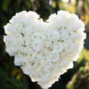 ヒメ日記 2026/01/13 09:38 投稿 赤名　りょう YOKOHAMA FIVESTAR（横浜ファイブスター）