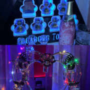 ヒメ日記 2026/02/15 18:00 投稿 のえる PINK ROOM（ピンクルーム）