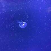 あかり ばいばい！ ダンシングおっぱいTEAM爆