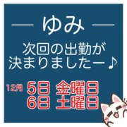 ヒメ日記 2025/11/30 19:30 投稿 ゆみ モアグループ小山人妻花壇
