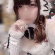 ヒメ日記 2025/12/28 22:43 投稿 ほの パイの巣