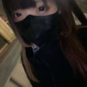 ヒメ日記 2026/01/21 21:24 投稿 ほの パイの巣