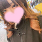 ヒメ日記 2026/01/30 19:14 投稿 ほの パイの巣