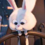 ♡煌羅【キララ】♡ 完売♡♡予約状況🈵 MUTEKI LAND奈良