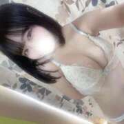 ヒメ日記 2025/11/12 11:42 投稿 タム きらめけ！にゃんにゃん学園in大宮