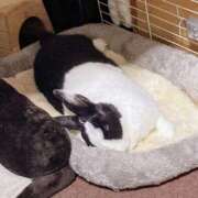 ヒメ日記 2025/12/21 17:31 投稿 桜井 ももか こあくまな熟女たち小倉店（KOAKUMAグループ）