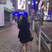 ヒメ日記 2025/12/10 00:00 投稿 ノイバラ 飾窓