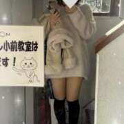 ヒメ日記 2025/12/11 09:44 投稿 ノイバラ 飾窓