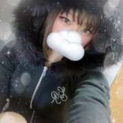 ヒメ日記 2025/12/12 10:11 投稿 ノイバラ 飾窓