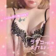 ヒメ日記 2025/12/21 06:20 投稿 ノイバラ 飾窓