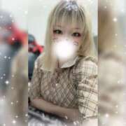 ヒメ日記 2025/12/23 11:57 投稿 ノイバラ 飾窓