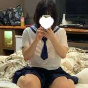 ヒメ日記 2026/01/06 11:44 投稿 ノイバラ 飾窓