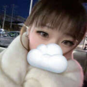 ヒメ日記 2026/02/02 21:27 投稿 ノイバラ 飾窓