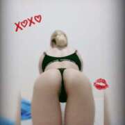 ヒメ日記 2026/02/04 12:13 投稿 ノイバラ 飾窓