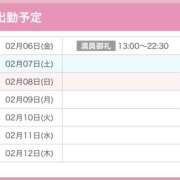 ヒメ日記 2026/02/06 18:52 投稿 ノイバラ 飾窓