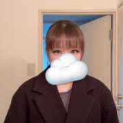 ヒメ日記 2026/02/10 16:34 投稿 ノイバラ 飾窓