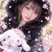 ヒメ日記 2026/03/24 14:14 投稿 ノイバラ 飾窓