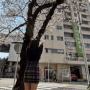 ヒメ日記 2026/03/30 13:02 投稿 ノイバラ 飾窓