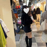 ヒメ日記 2026/04/02 18:42 投稿 ノイバラ 飾窓