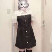 ヒメ日記 2026/04/22 13:43 投稿 ノイバラ 飾窓