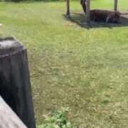 ヒメ日記 2025/11/22 12:50 投稿 かなめ 変態どっとこむ～即尺痴女伝説～（木更津）