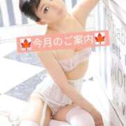 ヒメ日記 2025/12/22 12:03 投稿 もみじ VIP