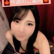 ヒメ日記 2026/05/21 12:13 投稿 もみじ VIP