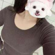 ヒメ日記 2025/11/12 08:12 投稿 あき【天真爛漫なドエロ美女】 ポニーテール和歌山店