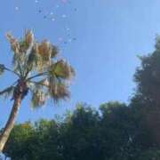 ヒメ日記 2026/03/23 20:24 投稿 あき【天真爛漫なドエロ美女】 ポニーテール和歌山店