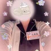 ヒメ日記 2026/02/01 12:06 投稿 たまみ 治療院.LOVE 宇都宮店