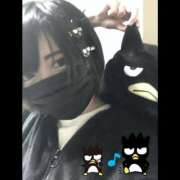 ヒメ日記 2026/02/20 11:22 投稿 かいん 新宿サンキュー