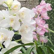 ヒメ日記 2026/03/01 01:48 投稿 さとう バカンス学園　谷九校