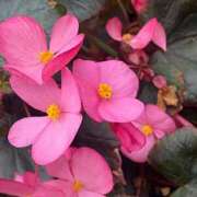 ヒメ日記 2026/03/22 09:56 投稿 さとう バカンス学園　谷九校