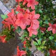 ヒメ日記 2026/04/10 22:42 投稿 さとう バカンス学園　谷九校