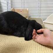 ヒメ日記 2026/08/05 14:57 投稿 さとう バカンス学園　谷九校