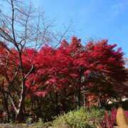 ヒメ日記 2025/11/27 18:28 投稿 うた Mother Complex～マザーコンプレックス～