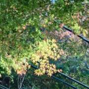 ヒメ日記 2025/11/28 19:48 投稿 うた Mother Complex～マザーコンプレックス～