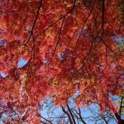 ヒメ日記 2025/12/02 13:08 投稿 うた Mother Complex～マザーコンプレックス～