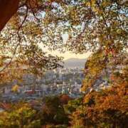 ヒメ日記 2025/12/09 22:48 投稿 うた Mother Complex～マザーコンプレックス～